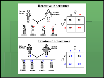 Autosomal Recessive Inheritance