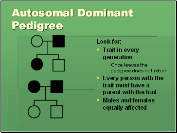 Autosomal Dominant Pedigree