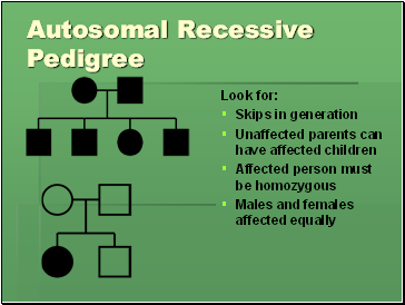 Autosomal Recessive Pedigree