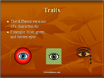 Traits