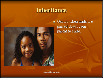 Inheritance