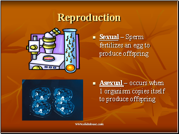 Reproduction