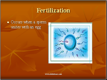 Fertilization