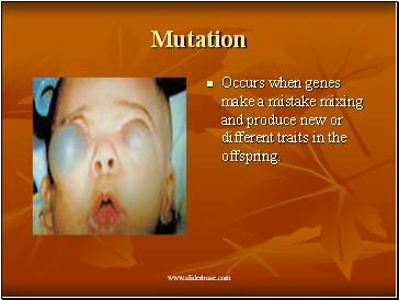 Mutation