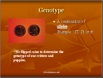 Genotype