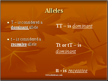 Alleles