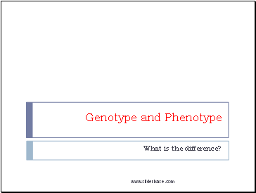 Genotype and Phenotype