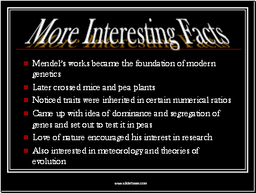 Mendel’s works became the foundation of modern genetics