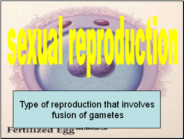 Sexual Reproduction