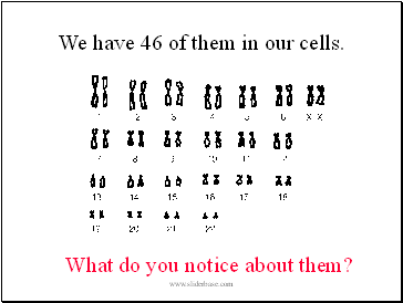 We have 46 of them in our cells.