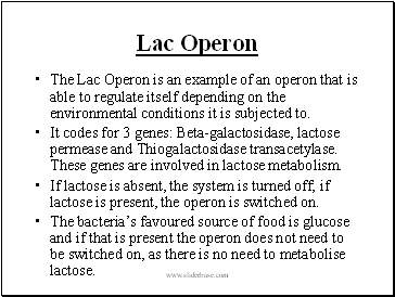 Lac Operon