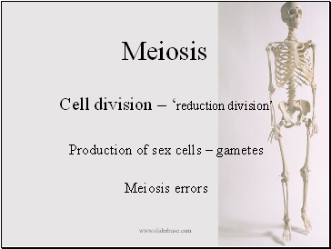 Meiosis