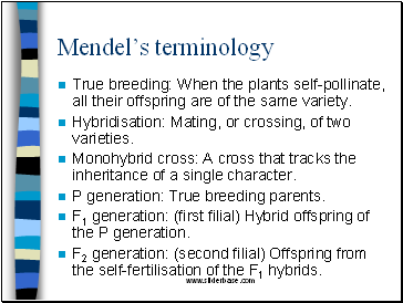 Mendel’s terminology