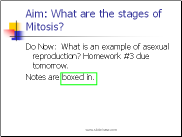 Mitosis