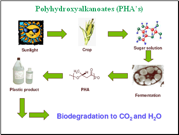 Polyhydroxyalkanoates (PHAs)