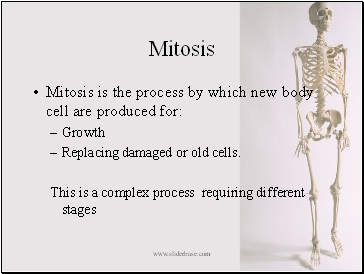 Mitosis