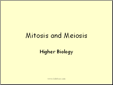 Mitosis and Meiosis