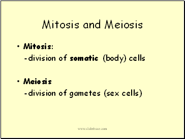 Mitosis and Meiosis