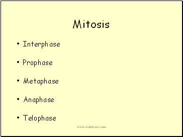 Mitosis