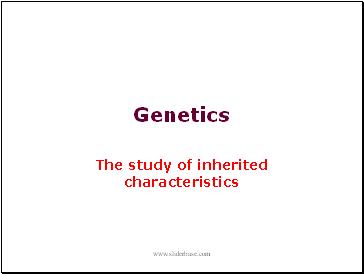 Genetics