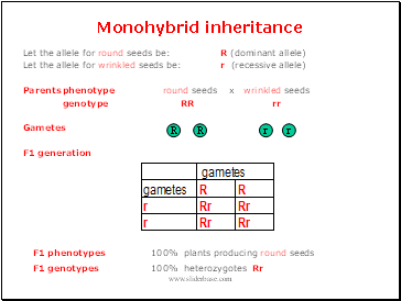 Monohybrid inheritance