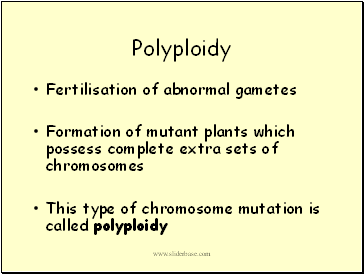 Polyploidy