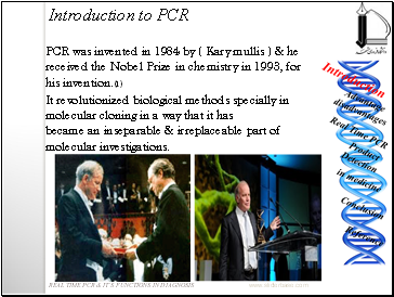 Introduction to PCR