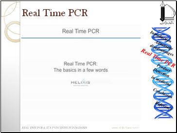 Real Time PCR