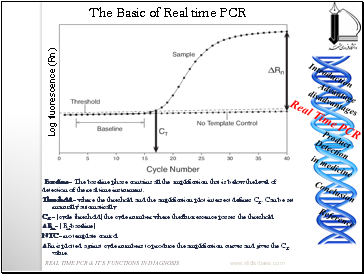 The Basic of Real time PCR