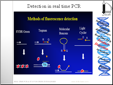 Uses fluorescence as a reporter by Three general methods :