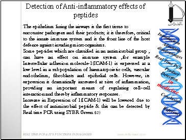 Detection of Anti-inflammatory effects of peptides