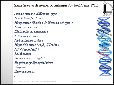 Some kites to detection of pathogens by Real Time PCR