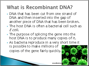 DNA that has been cut from one strand of DNA and then inserted into the gap of another piece of DNA that has been broken.