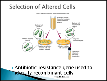 Selection of Altered Cells