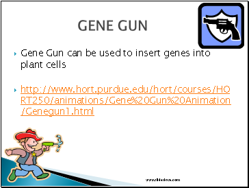 Gene Gun can be used to insert genes into plant cells