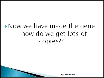 Now we have made the gene – how do we get lots of copies??