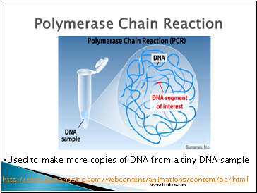 Polymerase Chain Reaction