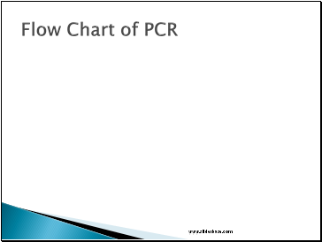 Flow Chart of PCR