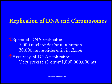 Replication of DNA and Chromosomes