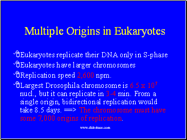 Multiple Origins in Eukaryotes