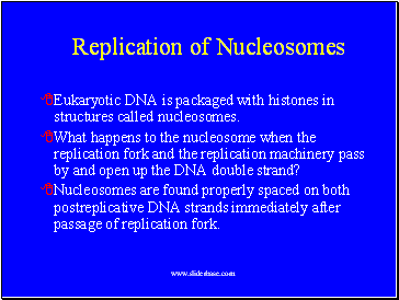 Replication of Nucleosomes