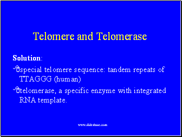 Telomere and Telomerase