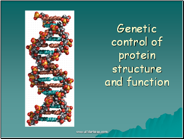 Structure od DNA