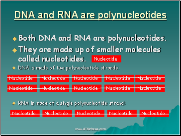 AS Biology. Gnetic control of protein structure and function