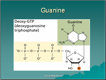 AS Biology. Gnetic control of protein structure and function