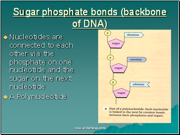 AS Biology. Gnetic control of protein structure and function