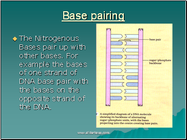 AS Biology. Gnetic control of protein structure and function