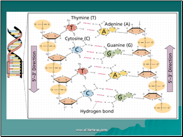 AS Biology. Gnetic control of protein structure and function