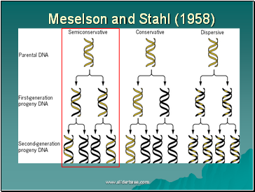 AS Biology. Gnetic control of protein structure and function