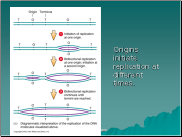 AS Biology. Gnetic control of protein structure and function